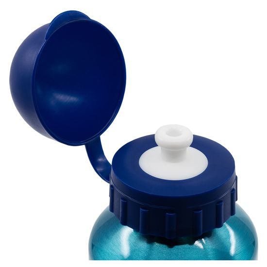 Hliníková láhev 400 ml - Bluey