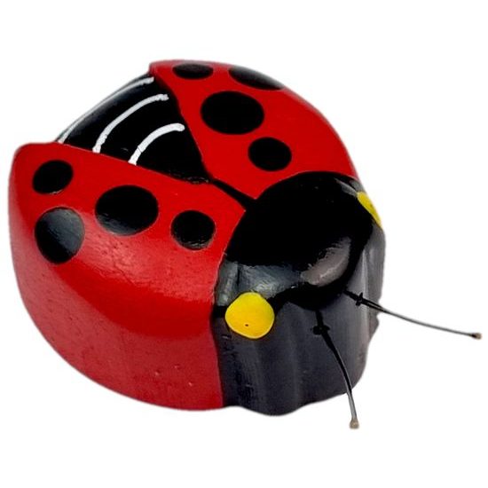 2Kids Toys Dřevěná magnetka velká Beruška