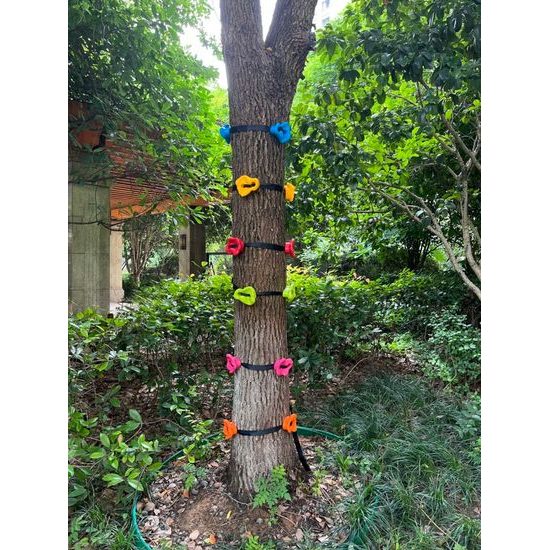 2Kids Toys Lezecké úchyty s popruhy na strom 12 ks