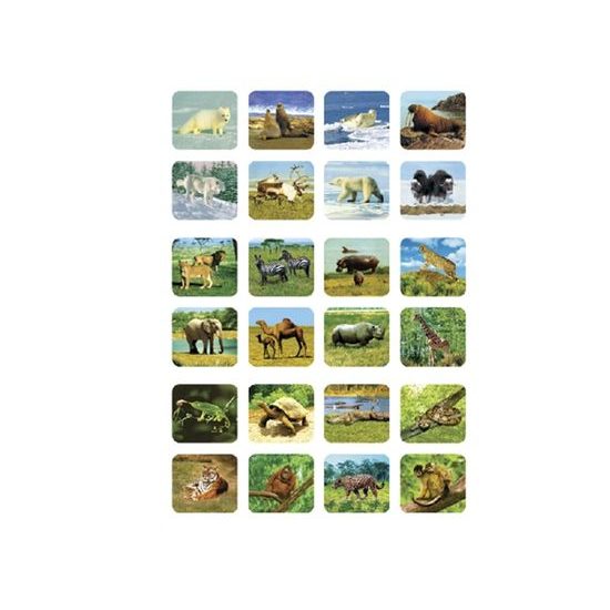 Jungle Expedition projektorová svítilna 11,5cm na baterie se světlem 24 obrázků na kartě
