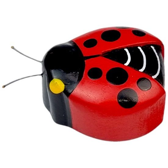 2Kids Toys Dřevěná magnetka velká Beruška