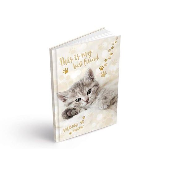 Záznamová kniha A4 MEOW 100l/linka