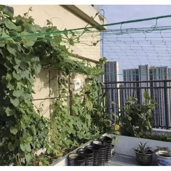 Zahradní síť na popínavé rostliny 2 x 10 m