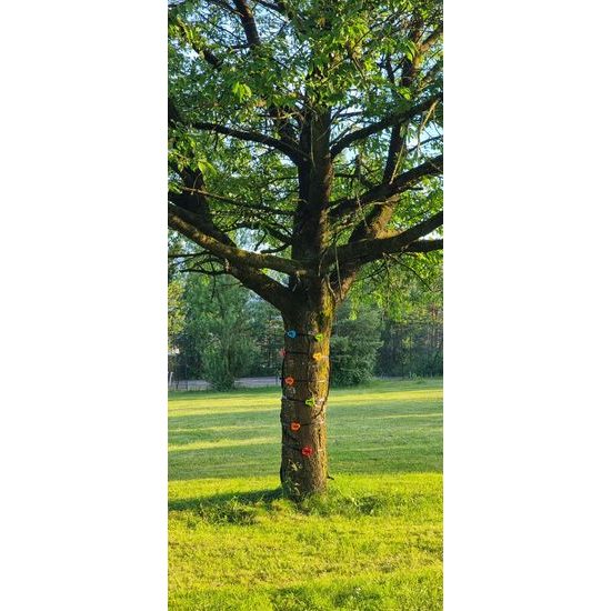 2Kids Toys Lezecké úchyty s popruhy na strom 12 ks