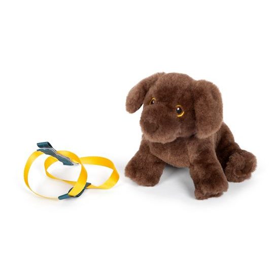 small foot Plyšový pes s pečovatelskou sadou