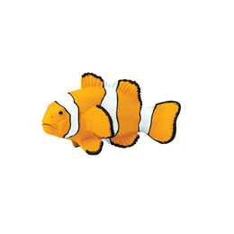 Safari Ltd. Klaun očkatý