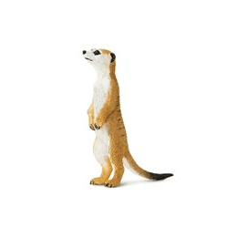 Safari Ltd. Surikata