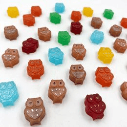 Smyslové svítící kostky Glo Pals 6 ks ZOO