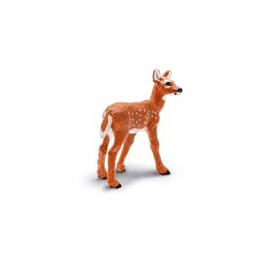 Safari Ltd. Kolouch běloocasý