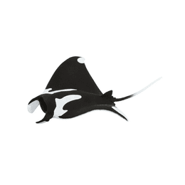 Safari Ltd. Dimorphodon