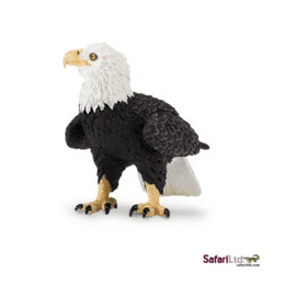 Safari Ltd. Dimorphodon
