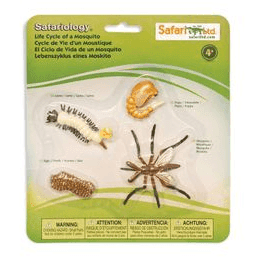Safari Ltd - Životní cyklus - Komár