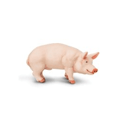Safari Ltd. Kanec prasete domácího