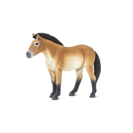 Safari Ltd. Kosatka