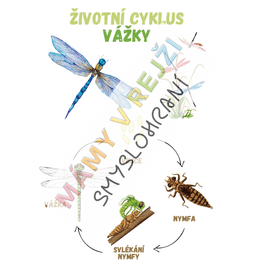 Vývojový cyklus PDF 2 část