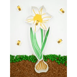 Eco Smyslový tácek Narcis