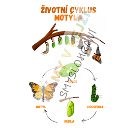 Vývojový cyklus PDF