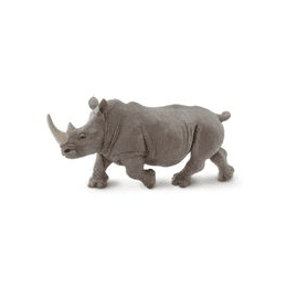 Safari Ltd. Mládě tygra bengálského