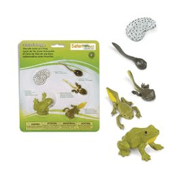 Safari Ltd - Životní cyklus - Žába