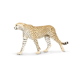 Safari Ltd. Gepard