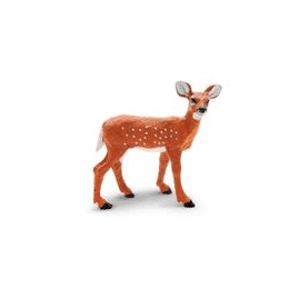 Safari Ltd. Kolouch běloocasý