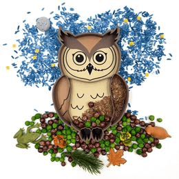 Eco Smyslový tácek Sova