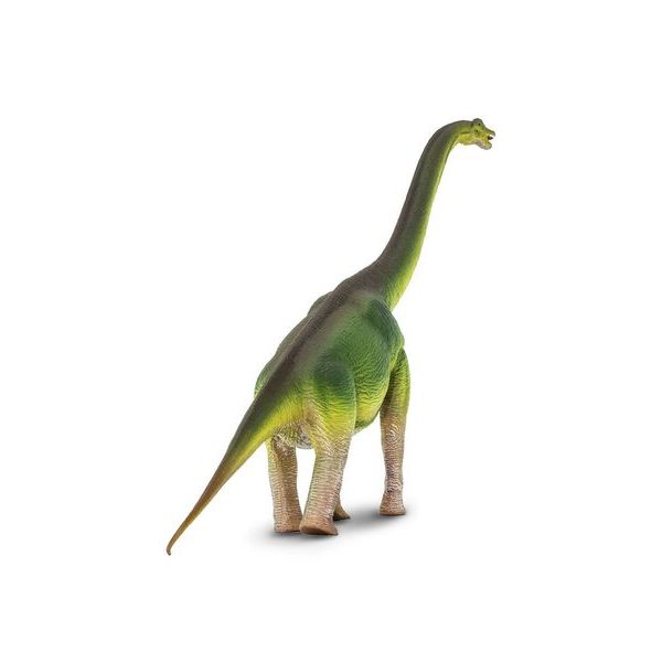 Safari Ltd. Brachiosaurus