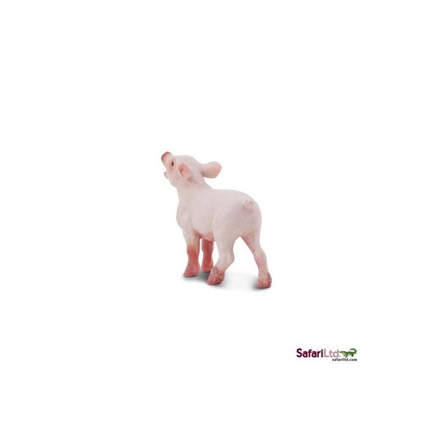 Safari Ltd. Sele