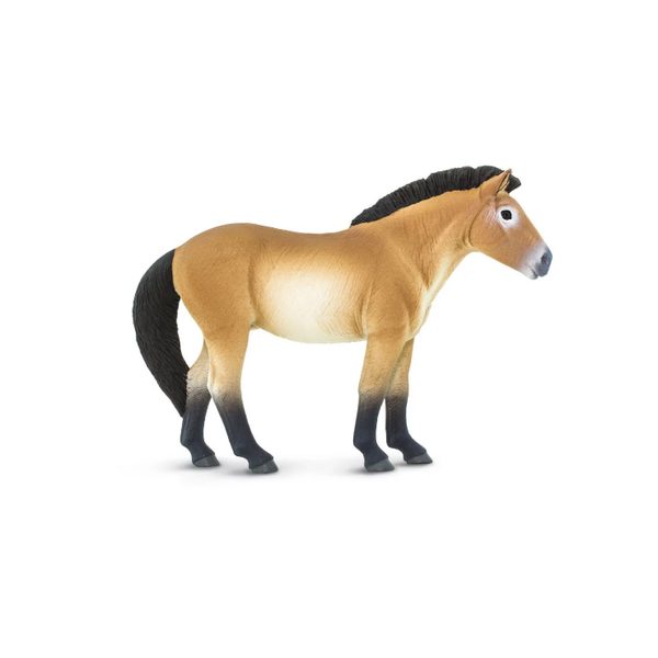 Safari Ltd. Kůň převalského
