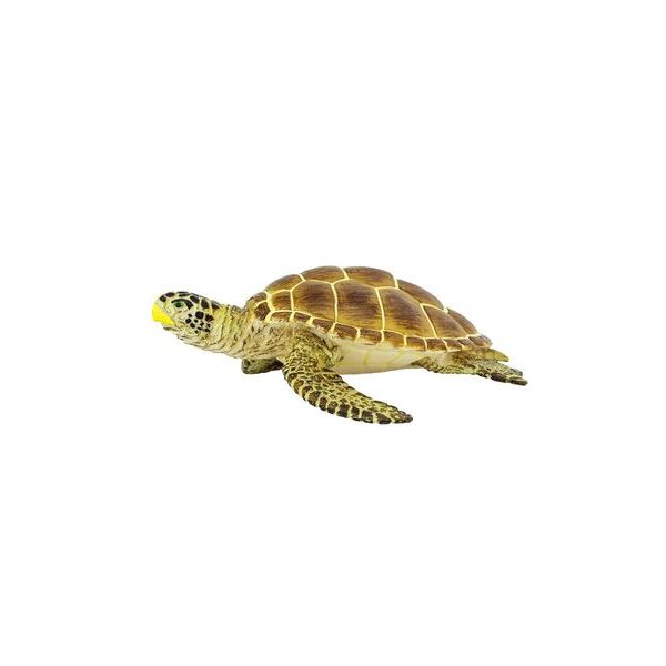 Safari Ltd. Želva Kareta obecná