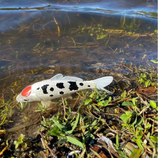 Safari Ltd. Koi kapr