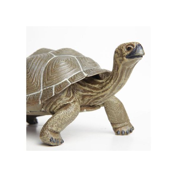 Safari Ltd. Želva galapážská