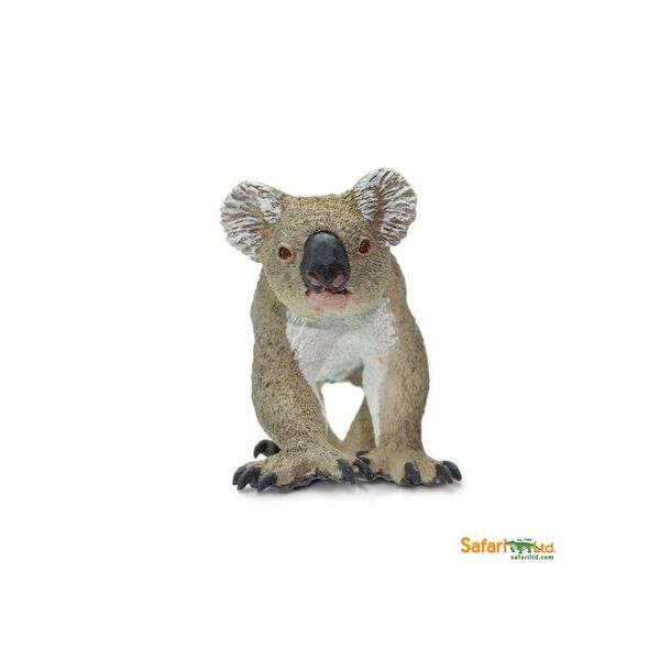 Safari Ltd. Koala