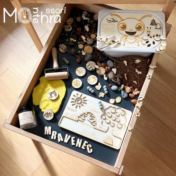 Mravenci- sensory set