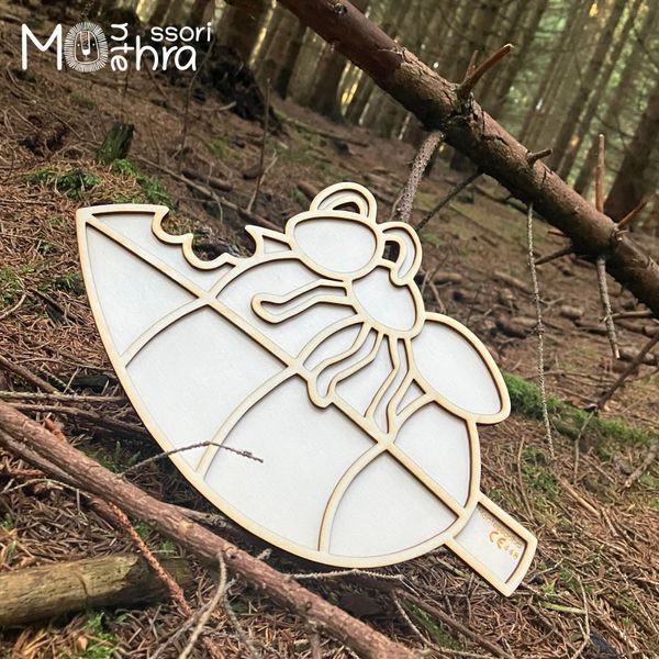 Mravenci- sensory set