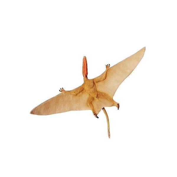 Safari Ltd. Dimorphodon