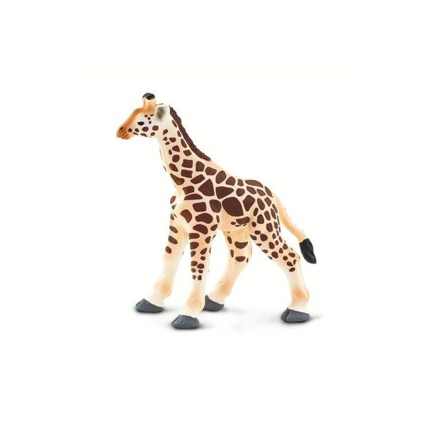 Safari Ltd. Mládě žirafy