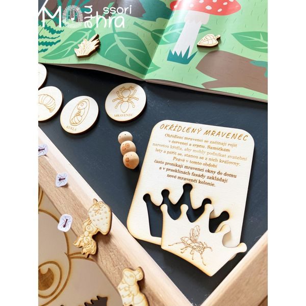 Mravenci- sensory set