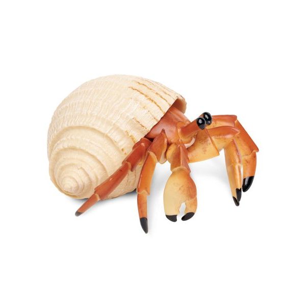 Safari Ltd. Krab poustevník