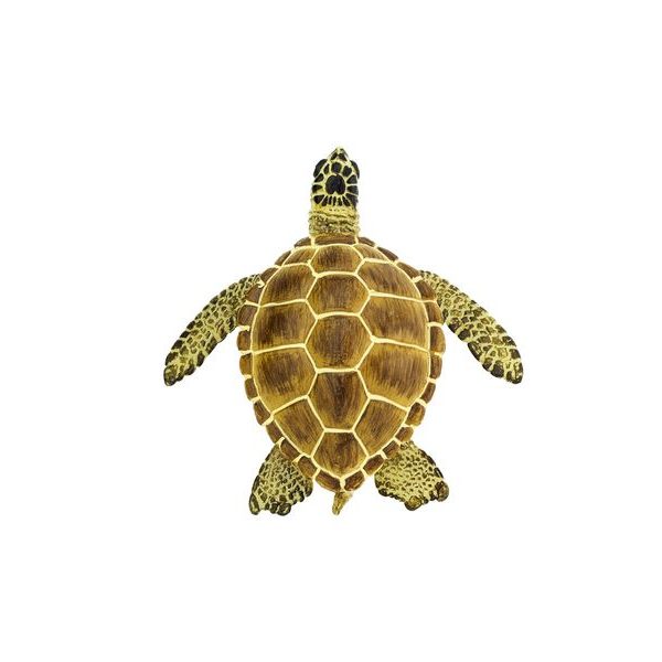 Safari Ltd. Želva Kareta obecná