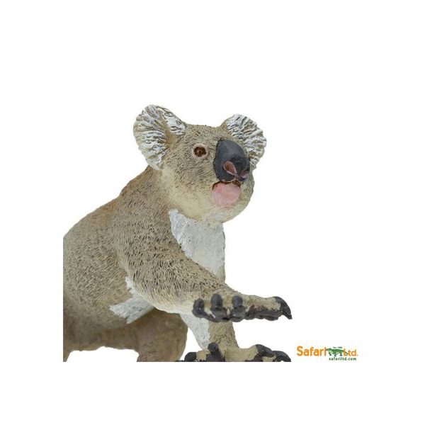 Safari Ltd. Koala