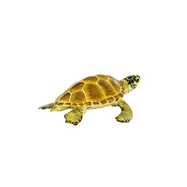 Safari Ltd. Želva Kareta obecná