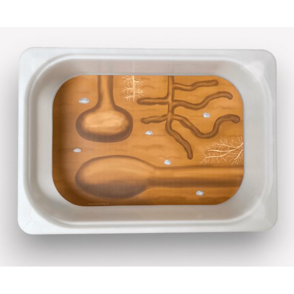 Pod zemí 1 – Podložka do Trofast Boxu
