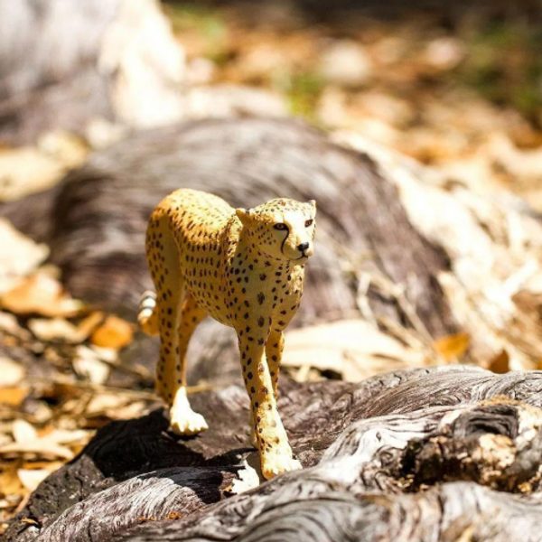 Safari Ltd. Gepard