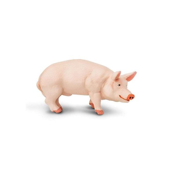 Safari Ltd. Kanec prasete domácího