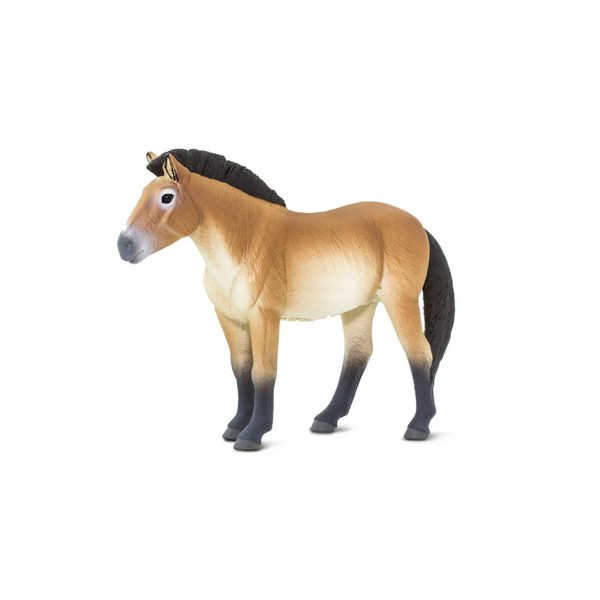 Safari Ltd. Kůň převalského