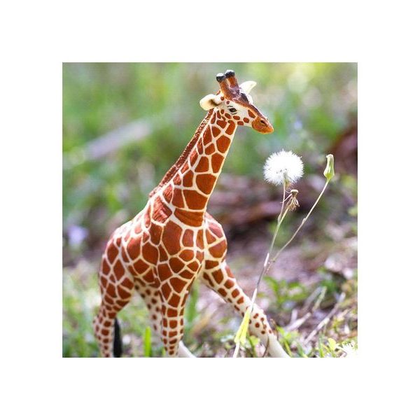 Safari Ltd. Žirafa síťovaná