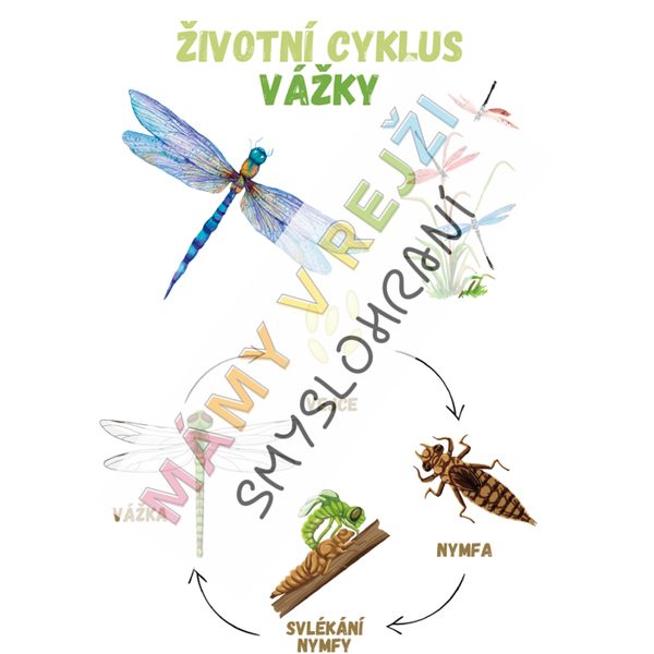 Vývojový cyklus PDF 2 část