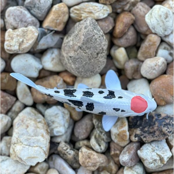 Safari Ltd. Koi kapr