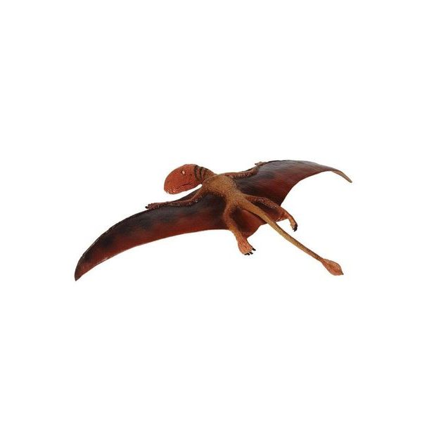 Safari Ltd. Dimorphodon